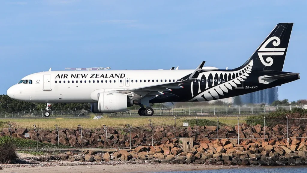 Air New Zealand jet stuck
